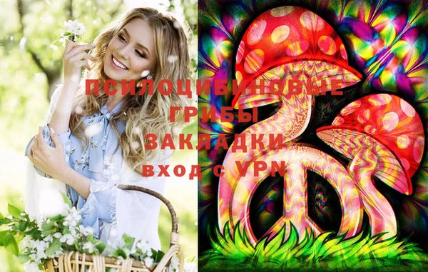 сатива Баксан