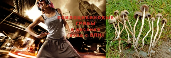 сатива Баксан