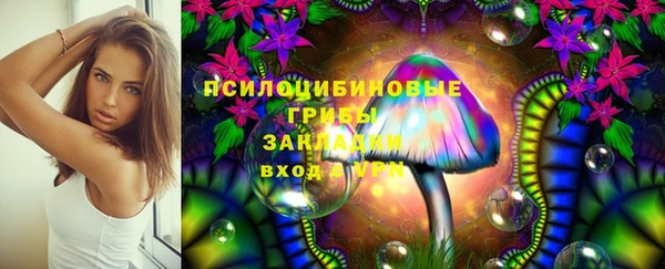 сатива Баксан