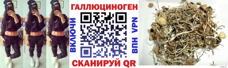 Псилоцибиновые грибы прущие грибы  где продают   Ершов 
